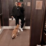 Anna Sedokova Instagram - Я не виделась с ней почти 6 месяцев . Даже больше . Ее нельзя было забрать или ввезти . За это время она подружилась с котами и другими собаками . Но очень надеюсь не забыла меня . А может и забыла и все фильмы про собак обман . Но настоящая любовь сильнее , чем обстоятельства . И я буду за нее бороться . Не смотря ни на что .