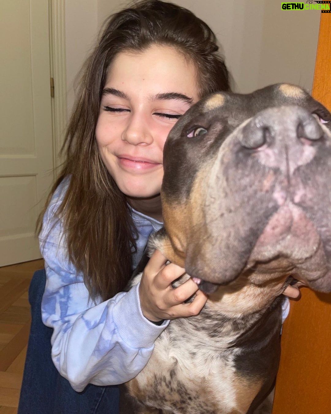 Anna Sedokova - 43.2K Likes - Мамбы больше нет . Он на небе .
Это случилось давно . У нас просто не было сил сказать . Этот год был сложным для нас и нашей семьи .
Я потеряла самого близкого человека .
Мы потеряли нашего Мамбу ,который был нам сыном , братиком и просто всем .
Самый добрый и большой пёс ,который преодолел с нами тысячи километров не смог избежать столкновения с пьяным водителем .
Каждый день мы искали смыслы в этом ,но так и не нашли . Особенно сложно было не мне . А мужу . Это был его лучший друг, был его мир . И когда все развалилось у нас забрали ещё больше . И нас в какой то момент не стало .
Этот пост даётся мне особенно трудно . Но нужно жить дальше . Ведь он бы точно этого хотел . Ведь нам есть ради чего . Ради кого. Нужно жить и верить . Нужно искать в себе силы , искать силы друг в друге . И мы нашли . Но это уже совсем другая история о которой я расскажу завтра . А пока пусть эти фото останутся тут 💔 #mambamentality