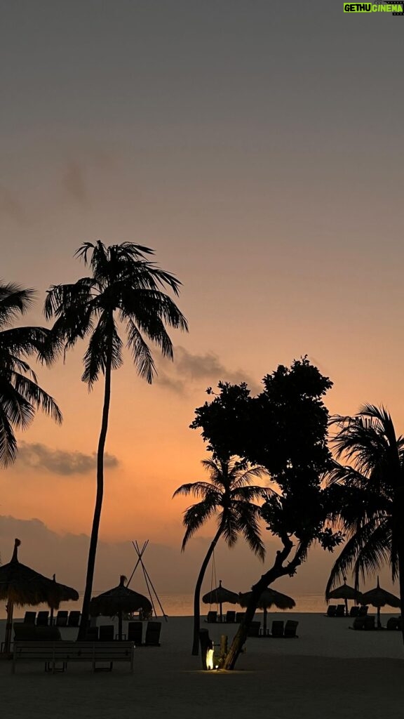 Anna Shurochkina Instagram - Летать далеко 💫 Благодарю @transmaldivian за безопасные и комфортные перелеты между Мальдивскими островами 🌴 #TransMaldivian #TravelConfidentlywithTMA #TMAExperience