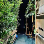 Anne Nakamura Instagram - 新しい仲間と見た新しい景色は 一生忘れることのないものになりました。 " 加害者家族 " という立場で色々なものを背負いながら 生きる役柄でしたが、とてもやりがいがありました。 初舞台、初主演という大役をいただき 共演者の皆様がガッツリと脇を固めてくださって 乗り越えることができました。 10公演、無事完走することができてホッとしております。 ご来場、ご視聴いただいた皆さま、 誠にありがとうございました。 またどこかで🦋 #笑ってもいい家 劇団俳優座