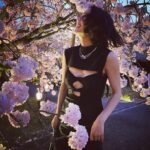 Anne Nakamura Instagram - Cartier in KYOTO 🌸 @cartier #cartierkyoto 醍醐寺