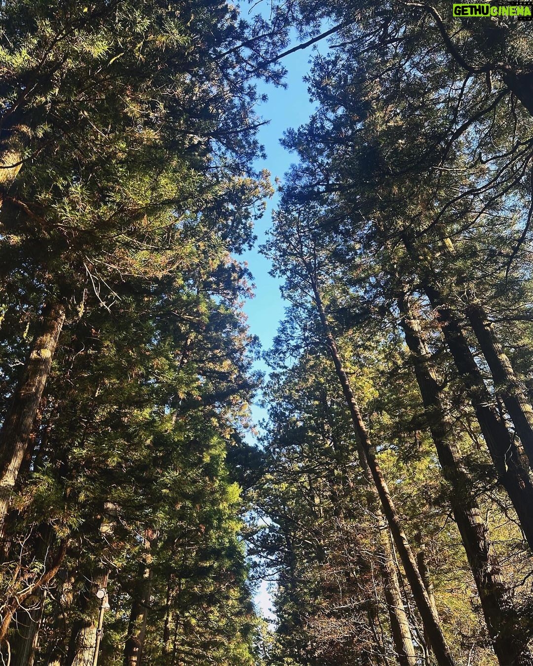 Anne Nakamura Instagram - đłđłđłđł æ ăăăăȘăšæăŁăăććđđđ æ„ć
(Nikko)
