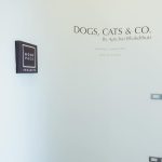 Anne Thongprasom Instagram - วูฟแพคภูมิใจเสนอ ”DOGS, CATS & CO.“ โดย คุณ อภิชัย ภักดีบุตร ผู้กำกับภาพยนตร์โฆษณาไทยผู้มีประสบการณ์ และอดีตนักวาดภาพประกอบนิตยสาร MAD (ฉบับภาษาเยอรมัน) นิทรรศการนี้เน้นไปที่ความรักสัตว์ของศิลปิน โดยการวาด portrait บนผืนกระดาษเพื่อถ่ายทอดถึงการแสดงออก/ ลักษณะเฉพาะตัวของสัตว์แต่ละตัว ย้ำถึงความผูกพันอันแน่นแฟ้นและทำให้นึกถึงคำกล่าวที่ว่าสัตว์เลี้ยงสามารถเป็นเพื่อนที่ดีที่สุดของมนุษย์ได้ เวลา : ทุกวัน 10.30 น. - 18.30 น วันที่ : 17 ก.พ. - 10 มี.ค. 67 สถานที่ : Rooftop Gallery ชั้น 5 ตึก Woof Pack ศาลาแดง ซอย 1 *รายได้ส่วนหนึ่งเข้าร่วมช่วยเหลือมูลนิธิเพื่อสุนัขในซอย @soidogfoundation #woofpackbangkok @woofpackbangkok *สนใจวาดภาพสัตว์เลี้ยงที่คุณรัก ส่งรูปมาได้ที่ Line : @woofpackbangkok (มี @ ด้านหน้า) 1ภาพ/ 1ตัว ราคา 9,500บาท