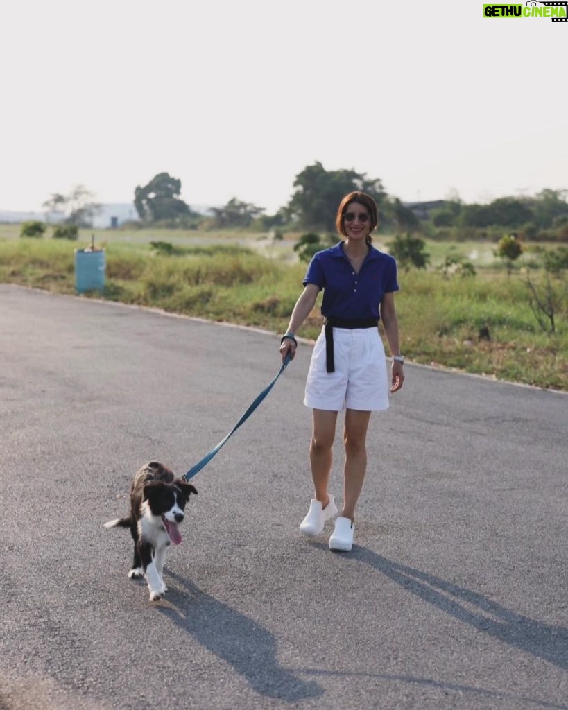 Anne Thongprasom Instagram - วันรวมตัว ครอบครัว #BorderCollie 🐶🐶🐶🐶 #MySundayRoutine 🌥 📸 @atinnabhan Bounce dog sport Center