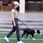 Anne Thongprasom Instagram - ผมเพิ่งออกนอกบ้านครั้งแรกคับ🐶🤍 โดนจับวิ่งออกกำลังกายรอบสนามด้วยคับ