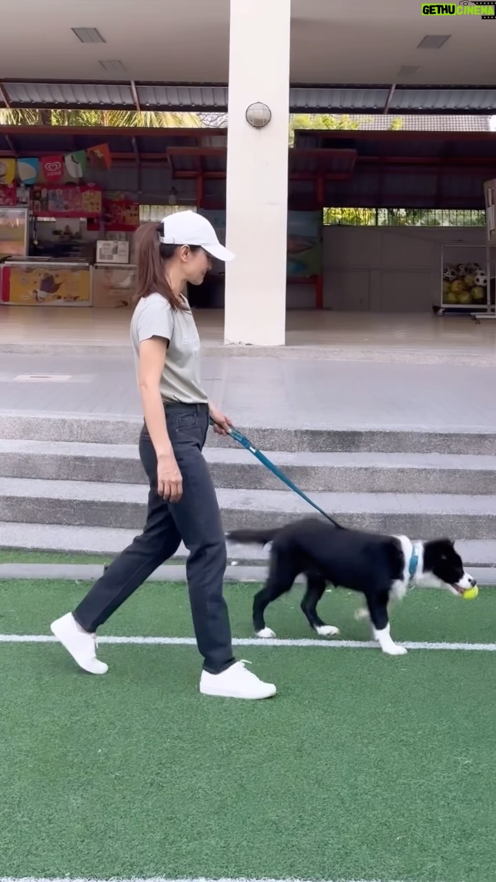 Anne Thongprasom Instagram - ผมเพิ่งออกนอกบ้านครั้งแรกคับ🐶🤍 โดนจับวิ่งออกกำลังกายรอบสนามด้วยคับ