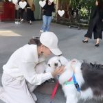 Anne Thongprasom Instagram - ตกหลุมรักหนุ่ม Border Collie 🤍🐶 เจอกันไม่ถึง30วิ เดินโน้มตัวมาซุกเลย😂 .. ใจง่ายจังเลยลูกกก ไม่หลงยังไงไหว😅