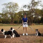 Anne Thongprasom Instagram – วันรวมตัว ครอบครัว #BorderCollie 🐶🐶🐶🐶
#MySundayRoutine 🌥️

📸 @atinnabhan Bounce dog sport Center