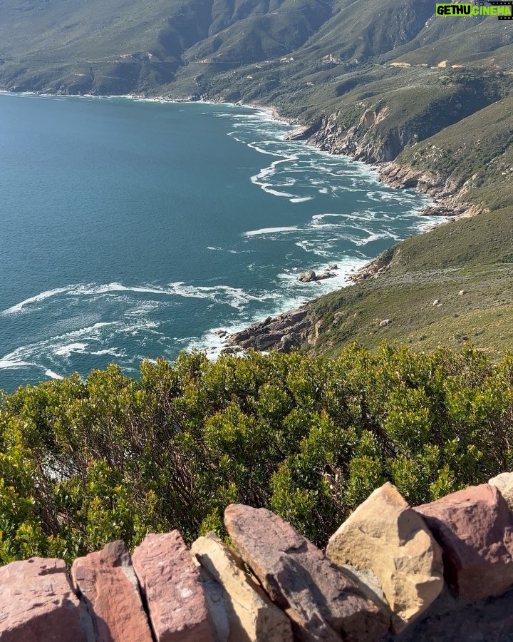 Anthony Anderson - 35.6K Likes - When you wake up and take an adventure with your brother from another mother @deecamzi It was a great day. I did everything but kiss the seal! We went thru Chapmans peak on the way to cape point. #justakidfromcompton #fromcomptontocapetown #huskyandhandsome #acbarbeque