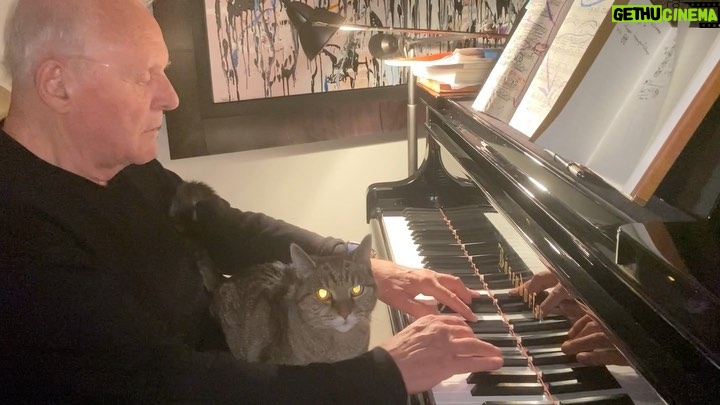 Anthony Hopkins Instagram - Niblo wishes “all you cool cats and kittens” a happy #NationalCatDay 😻🤪