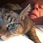 Anthony Hopkins Instagram - Niblo and I are having a quiet New Year’s Eve. He’s my bodyguard, keeps me out of trouble...