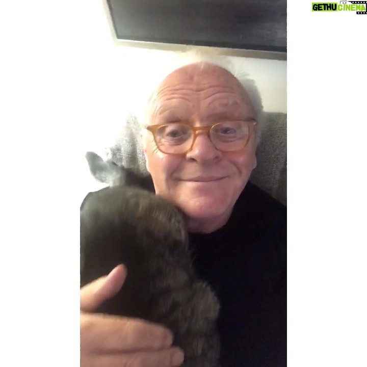 Anthony Hopkins Instagram - Happy Sunday 😻
