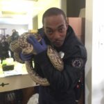 Anthony Mackie Instagram – #Synchronic is top spot on Netflix!!! Thank you to everyone for checking it out. I have to say… it was great to shoot a movie in Nola! My Man @jamiedornan hasn’t been the same since! LoL
