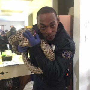 Anthony Mackie Instagram - #Synchronic is top spot on Netflix!!! Thank you to everyone for checking it out. I have to say... it was great to shoot a movie in Nola! My Man @jamiedornan hasn’t been the same since! LoL