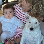 Antonio Orozco Instagram - Por lo que más quieras...esta noche disfruta a tope de la verbena de #SanJuan pero no lo hagas a costa del sufrimiento de los/las 🐶 y otros animalitos que lo pasan fatal. No te lo pido yo, te lo piden las 3 de la foto ❤️❤️❤️ #perros #umathurman #verbena