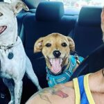 Antony Starr Instagram - Three amigos. Adopt don’t shop. Three dogs is better than none. @pupswithoutborders is amazing