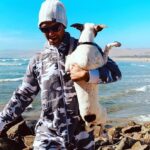 Antony Starr Instagram - Gotta get home so I can get away from home again…. Also my dog needed rescuing. From rocks, cos she’s a city girl. And yes. I am fashion in a grey camo onesie. #sosobrave #fukfashion #turdrescue #maradonna #vanlife