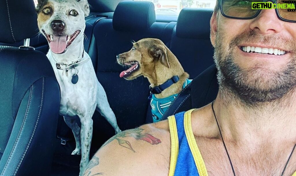 Antony Starr Instagram - Three amigos. Adopt don’t shop. Three dogs is better than none. @pupswithoutborders is amazing