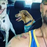 Antony Starr Instagram - Three amigos. Adopt don’t shop. Three dogs is better than none. @pupswithoutborders is amazing