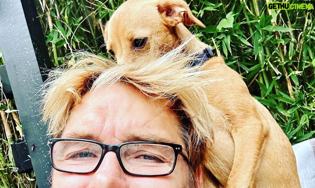 Antony Starr Instagram - Three amigos. Adopt don’t shop. Three dogs is better than none. @pupswithoutborders is amazing