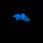 Anupam Tripathi Instagram - 제주에 있는 특별한 레스토랑에 다녀왔어요. 유네스코에 등재된 해녀들의 이야기를 보고 듣고 맛보는 엄청난 식당입니다. 말로만 듣던 해녀들이 바닷속에서 해산물을 잡는 과정을 영상으로 보여주고 해녀들이 직접 스페셜 오마카세음식을 제공해줍니다. 나의 대학교 친구 하원이 만든가게. 놀라워!  고마워! [Event contents] 해녀의부엌이 저의 팬들을 위해서 티켓을 쏜다고 합니다! 댓글로 해녀의부엌을 오고 싶은 이유를 적어주시면 선정 후 티켓을 쏩니다! I went to a special restaurant in Jeju. It is a huge restaurant where you can see, hear, and taste the stories of the UNESCO-listed haenyeo. A video shows the process of haenyeo catching seafood in the sea, and the haenyeo provides special omakase food themselves. A unique place to experience the stories of Haenyeo and the taste of lifetime through the food this unique place presents 🎁 :-) This beautiful idea of storytelling about < Haenyeo with taste of Jeju delicacy in Haenyeo’s Kitchen > made by my dear friend from college Hawon:-) I really loved it 😍 [EVENT] Raise your hands if you are planning to visit Jeju Island in 2024! Haenyeo’s Kitchen is buying tickets for my fans! If you write down the reason why you want to come to the kitchen of the haenyeo in the comments, we‘ll buy tickets through selection! @haenyeokitchen_bukchon @haenyeokitchen_official 해녀의 부엌