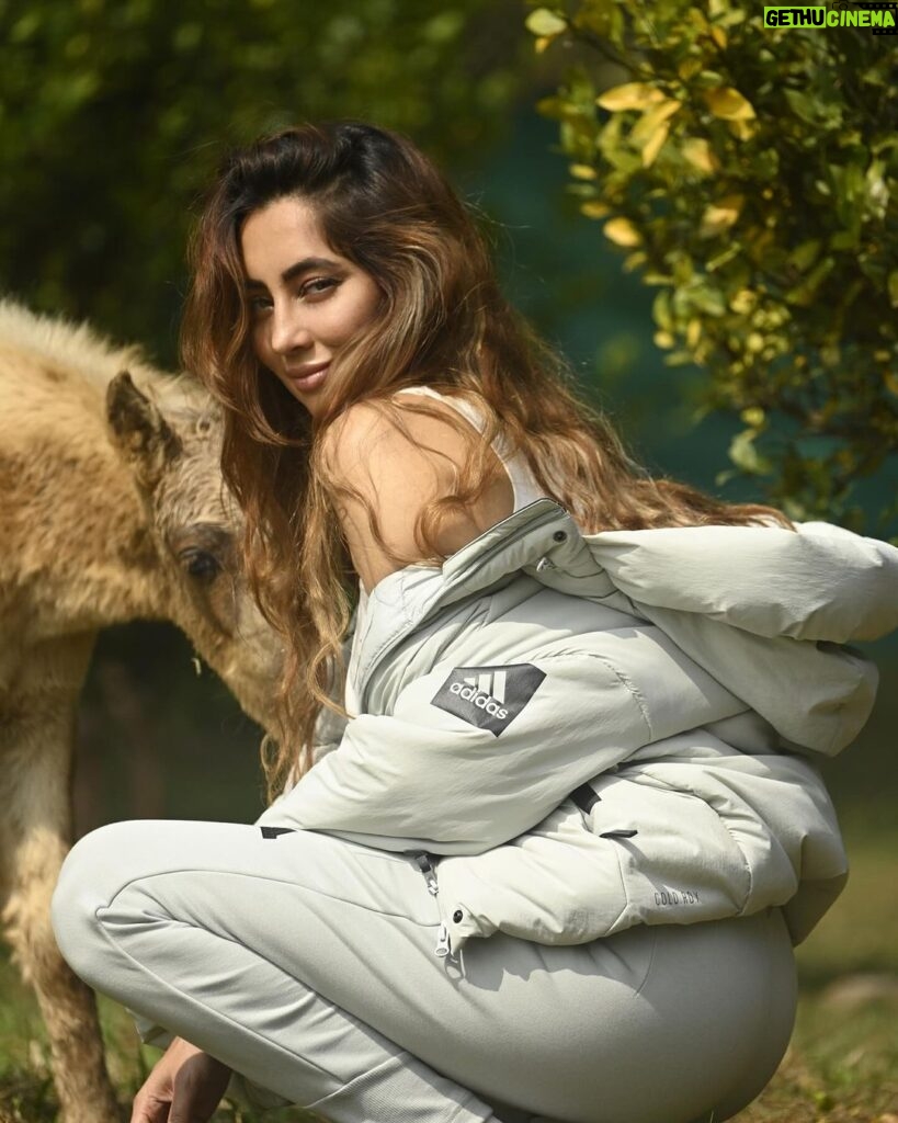 Anusha Dandekar Instagram - No better place to run than Into the wild… Honestly the most Superior comfort in running shoes I’ve experienced yet with Supernova Rise… 10 more please! 👟 Photos by @abdulshez 🤍 Location @thebackwatersanctuary 🤎 #adidassupernova #adidassportswear #adidasrunners #createdwithadidas