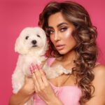 Anusha Dandekar Instagram – He just peed on my bed… because everyone left the rpom and how dare they! He didn’t care about it and when I tried to call him to me he was wagging his tail 🤦🏻‍♀️
His name is Gangsta, probably time for the streets now #thugmoves #thuglife 🐶😎 (I’m kidding about the streets relax!)