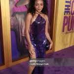 Any Gabrielly Instagram - #TheColorPurple Première last night 💜 The color purple foi meu primeiro teste de musical muuuuitos anos atrás, que acabou não sendo produzido mas eu nunca vou me esquecer de estar em volta de tanta gente talentosa, foi um momento que me moldou como artista e tenho guardado comigo pra sempre. Naquela sala de cinema eu me senti tão inspirada quanto, voltei no tempo e chorei que nem uma doida, assistam 😭 #WBPartner @thecolorpurple