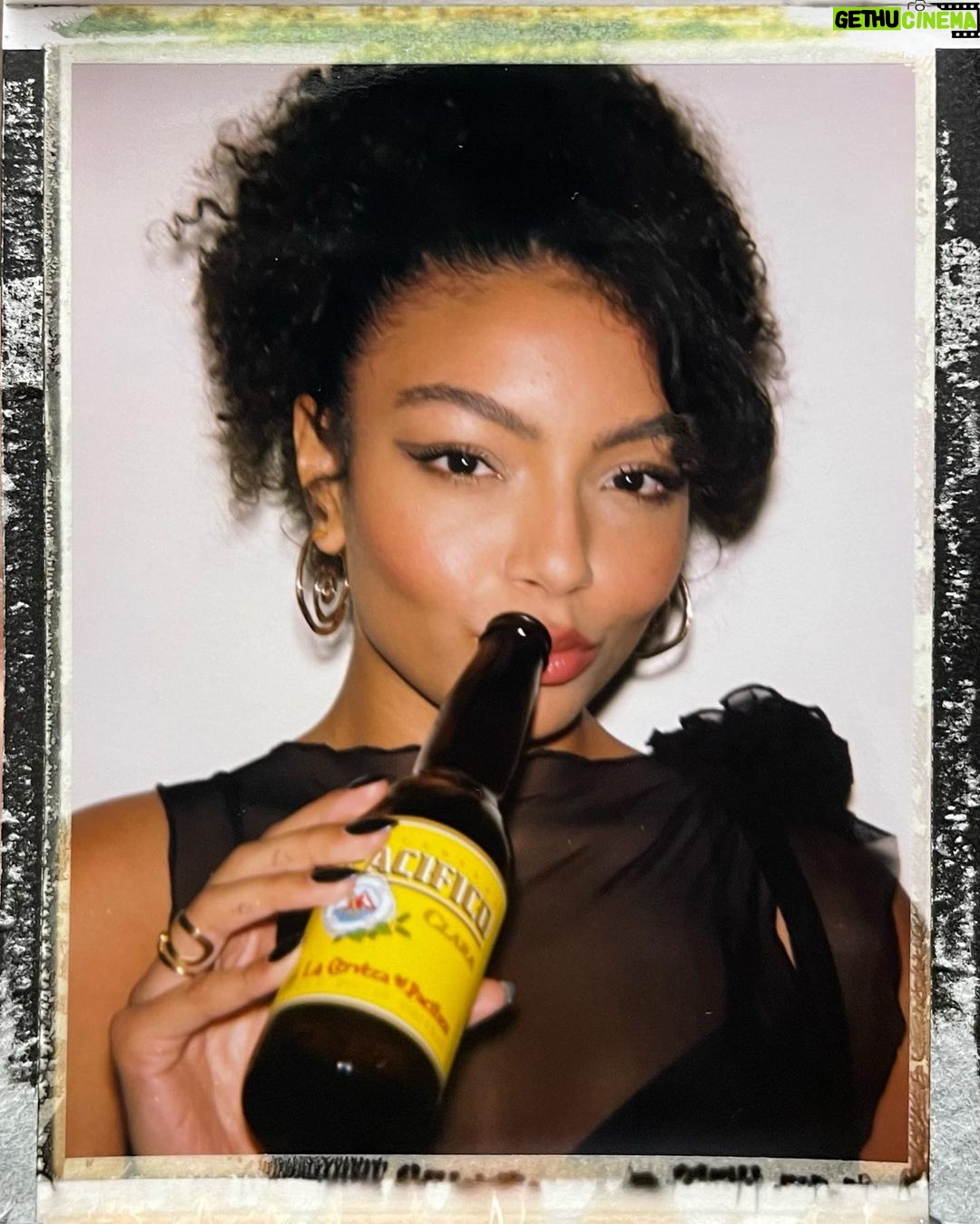 Any Gabrielly Instagram - the beasts do be rising 🐝 West Hollywood, California