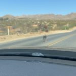 Any Gabrielly Instagram - adventure time 🤸‍♀️ Joshua Tree National Park