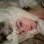 Anya Taylor-Joy Instagram - Merry Christmas to all you filthy animals, from our home to yours 🥰