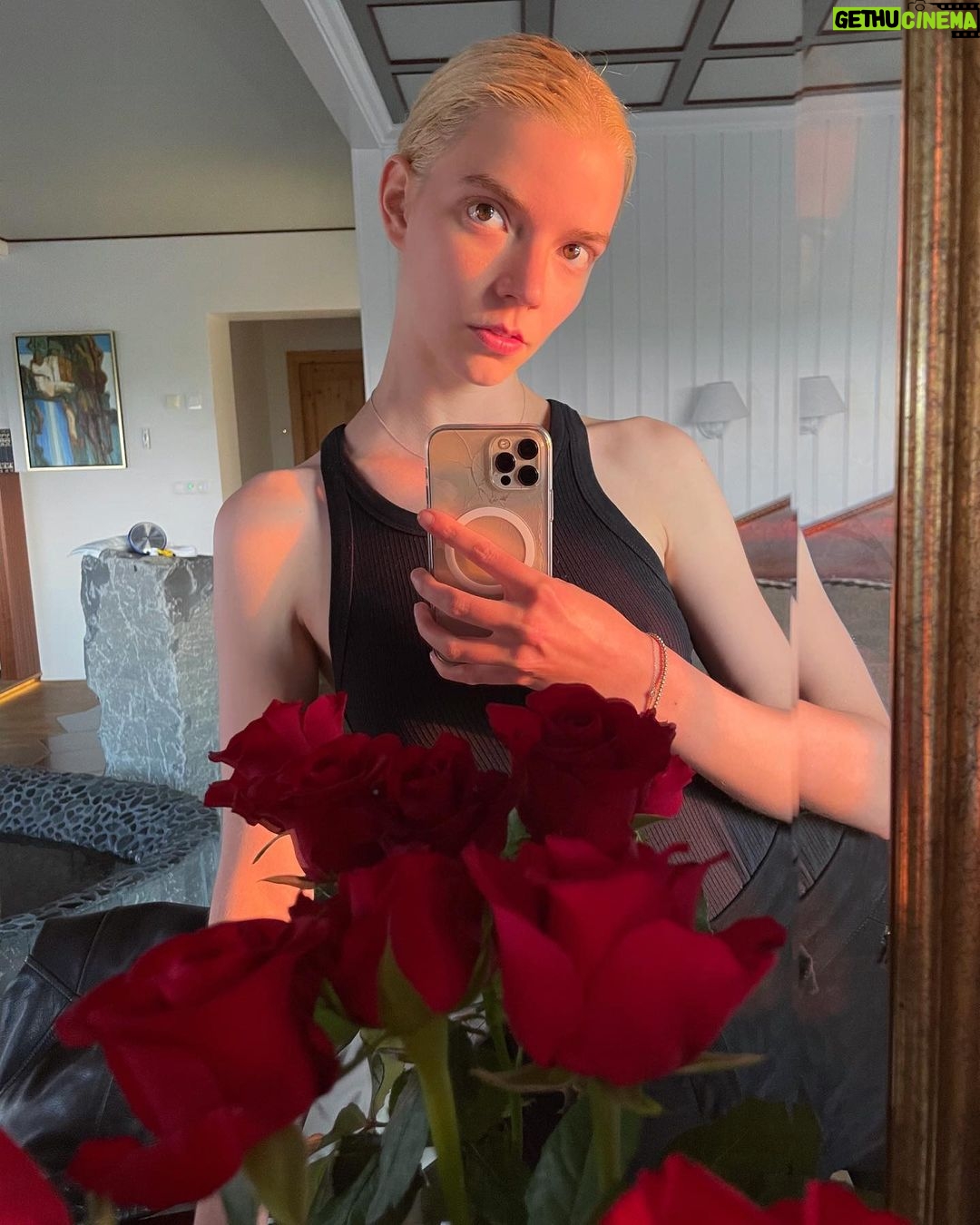 Anya Taylor-Joy Instagram - Alien sunset, 11.46 pm. Ft. The Claw 👽 True North
