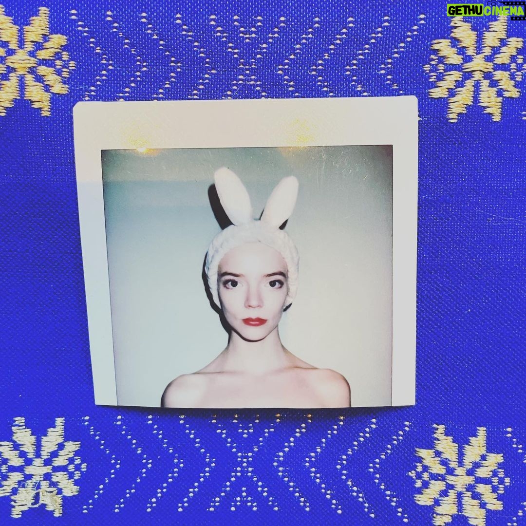 Anya Taylor-Joy Instagram - 🐰Hola Miami🐰
