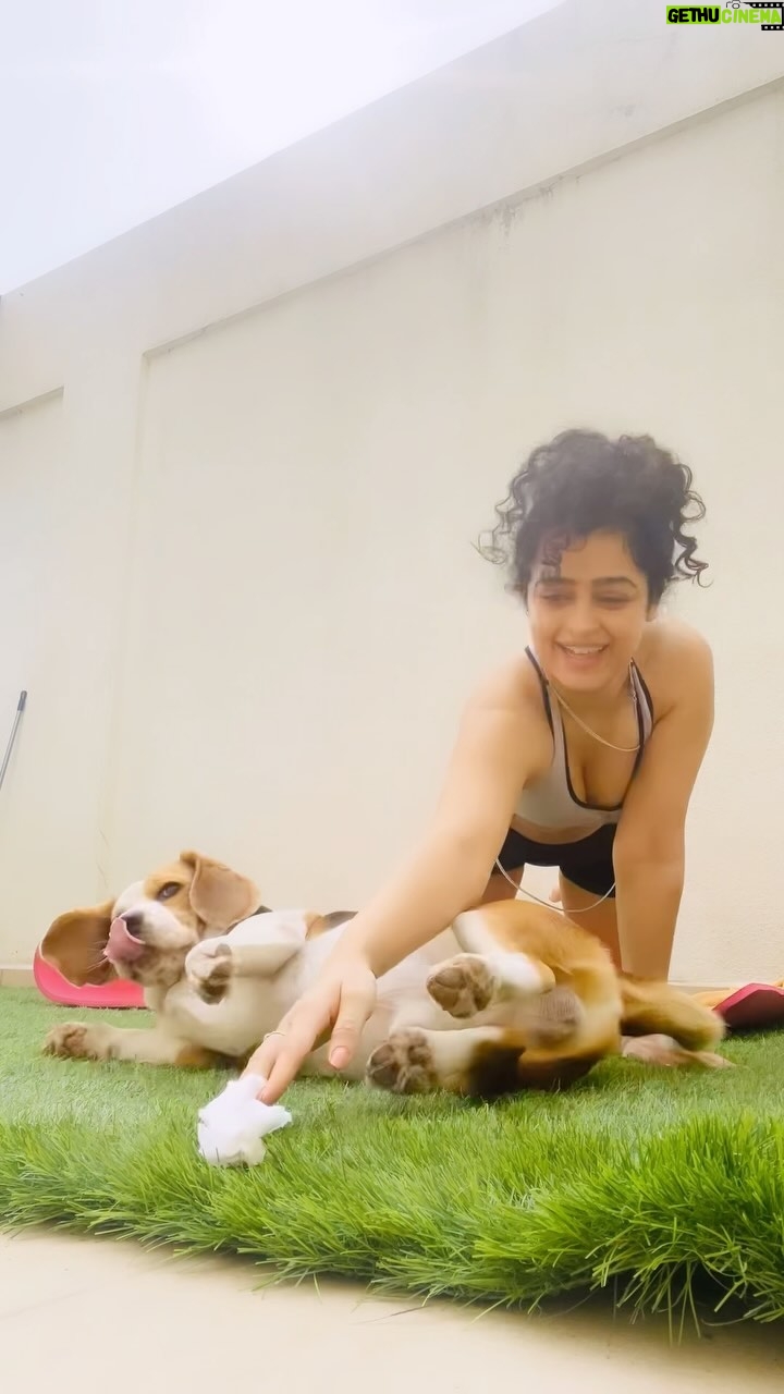 Apsara Rani Instagram - Sunday morning🧘🏻♀️ Special appearance @princeharry18_ 🐶🐾❤️