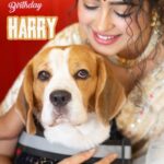 Apsara Rani Instagram - Happy Birthday my lil Harry Boy❤️ You’re the epitome of pure happiness in tiny form😍🐶❤️♾️🫠🐾 Thank you @my.memoriesofficial01 for clicking such beautiful pictures❤️☺️