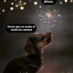 Aracely Arámbula Instagram – ✨🙏✨🫶😻🐶