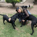 Aracely Arámbula Instagram – Amor del bueno !!! ✨🐶🐶🐶♥️♥️♥️ mis rescatados listos para irse en adopción a mi amada tierra Chihuahua 🫶 abrazándonos porque se van la cd Juárez donde van a estar super bien atendidos y con mucho espacio para correr libres donde puedan jugar y pasarla muy bien ✨👌🫶👍🏻😍🐶 gracias por adoptar a Luka mi niño de la camada de la güera que uds vieron en mis historias es in perrazo divino que amo y lo tuve en casa mucho tiempo muy felices y ahora con nuevo hogar ✨🫶 y la pinta rescatada de la calle con un tumor enorme cancerígeno a quien atendimos y le dimos tratamiento recibió sus quimios en abril del año pasado me llamo la veterinaria y me dijo la tenemos que dormir 🫢☹️🥲 lamé puse a llorar y le dije que hicieran todo para salvarla ✨🙏✨ me puse a pedir por ella junto con Judith y a las dos horas me mandan un video donde estaba reaccionando 😅✨🙏✨ Asi que hemos luchado mucho junto con ella por su vida y que ahora mi pinta tiene un gran hogar 🫢😍👌y ya recuperada a ella la vi en un post de @amorsinraza y tome el caso , Mauri estaba en una de mis locaciónes de La Madrastra en la iglesia con su patita lastimada la lleve al veterinario y se recuperó muy bien han pasado muchos meses los que son rescatistas saben que no es fácil que nos adopten perritos de talla grande perro con paciencia y mucho amor se logró gracias siempre hay que apostar a lo positivo y luchar por hacerlo posible estoy muy muy contenta porque les pude cumplir a estos 3 perritos y hay tantos esperando así que PORFAVOR pero no paremos de ayudar y darles la mano y pasar el mensaje de amar a los animales de respetar sus vidas y luchar por sus derechos y por darles voz ✨🙏✨ ellos valen mucho y siempre merecen una oprtunidad de mejorar su vida ✨🫶✨🐶🐶🐶 los perritos rescatados son los más agradecidos ♥️♥️♥️✨GRACIAS a toda mi ARAFAMILIA que ha seguido mis pasos como @anissapanal en españa y asi much@s GRACIAS DE CORAZÓN ♥️ NO PAREMOS 🙏😃🫶 #LOSAMO OOOOOOO !!!!!!!!