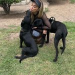 Aracely Arámbula Instagram – Amor del bueno !!! ✨🐶🐶🐶♥️♥️♥️ mis rescatados listos para irse en adopción a mi amada tierra Chihuahua 🫶 abrazándonos porque se van la cd Juárez donde van a estar super bien atendidos y con mucho espacio para correr libres donde puedan jugar y pasarla muy bien ✨👌🫶👍🏻😍🐶 gracias por adoptar a Luka mi niño de la camada de la güera que uds vieron en mis historias es in perrazo divino que amo y lo tuve en casa mucho tiempo muy felices y ahora con nuevo hogar ✨🫶 y la pinta rescatada de la calle con un tumor enorme cancerígeno a quien atendimos y le dimos tratamiento recibió sus quimios en abril del año pasado me llamo la veterinaria y me dijo la tenemos que dormir 🫢☹️🥲 lamé puse a llorar y le dije que hicieran todo para salvarla ✨🙏✨ me puse a pedir por ella junto con Judith y a las dos horas me mandan un video donde estaba reaccionando 😅✨🙏✨ Asi que hemos luchado mucho junto con ella por su vida y que ahora mi pinta tiene un gran hogar 🫢😍👌y ya recuperada a ella la vi en un post de @amorsinraza y tome el caso , Mauri estaba en una de mis locaciónes de La Madrastra en la iglesia con su patita lastimada la lleve al veterinario y se recuperó muy bien han pasado muchos meses los que son rescatistas saben que no es fácil que nos adopten perritos de talla grande perro con paciencia y mucho amor se logró gracias siempre hay que apostar a lo positivo y luchar por hacerlo posible estoy muy muy contenta porque les pude cumplir a estos 3 perritos y hay tantos esperando así que PORFAVOR pero no paremos de ayudar y darles la mano y pasar el mensaje de amar a los animales de respetar sus vidas y luchar por sus derechos y por darles voz ✨🙏✨ ellos valen mucho y siempre merecen una oprtunidad de mejorar su vida ✨🫶✨🐶🐶🐶 los perritos rescatados son los más agradecidos ♥️♥️♥️✨GRACIAS a toda mi ARAFAMILIA que ha seguido mis pasos como @anissapanal en españa y asi much@s GRACIAS DE CORAZÓN ♥️ NO PAREMOS 🙏😃🫶 #LOSAMO OOOOOOO !!!!!!!!