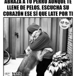 Aracely Arámbula Instagram – 🫶🐶🙏