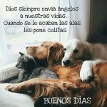 Aracely Arámbula Instagram – FELIZ DÍA 🙏🐶♥️😘