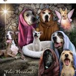 Aracely Arámbula Instagram – Hagamos que todos los seres maravillosos de Amor tengan una bonita navidad adoptemos rescatemos y salvemos vidas no son perritos de la calle son perritos abandonados así que hagamos que cada día haya mayor conciencia generosidad y amor 🙏❤️🐶🐾 para los seres de 4 patas 🙏🙏🙏 adopta no compres y si en tus manos está darles una mejor Vida nunca dudes porque sólo recibirás Amor y lealtad 🙏❤️🐶🎄🐾 y si no puedes tenerlos pero de pronto ven un perrito hambriento denle de comer y beber agua no duden en ayudarlo 🐶❤️🐾no pasen de largo quizá  sean o seas su única oprtunidad 🙏 De todo corazón deseo mi #Arafamilia bella que tengan una gran noche buena y una hermosa Navidad al igual que todos los peludititos del mundo que puedan pasar una noche buena calientita y que no falte comida 🙏❤️🎄🐾🐶 hagamos realidad nuestro sueño de tener un mundo mejor 🙏❤️🎄 cada día es una oportunidad para ser mejores personas 🙏❤️🎄🐶🐾 LOS AMO Y LES DESEÓ INFINTA SALUD Y BENDICIONES!!!! TODO MI AM❤️R !!!! 🙏😘❤️🎄🐶🐾😘😘😘🥳🎊😘 FELIZ NAVIDAD 🎄!!!!!!!!!!!! ❤️❤️❤️❤️❤️❤️❤️❤️❤️❤️❤️
