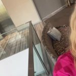 Aracely Arámbula Instagram – Muy Feliz presentándoles #LaRebelion en una fecha especial para mi 🙏🏻♥️🎬y dedicándosela con mi corazón a mi Papito bello 🙏🏻 No se la pueden perder apartir de mañana el estreno por @vixplus  con mis adoradas Rebeldes @adytapaz @dani.vega.h y no pudo estar con nosotras porque está filmando nuestra amada @la_serradilla ♥️♥️♥️♥️ Estamos listas #Arafamilia para vivir con ustedes esta maravillosa historia !!!! Están listos ?