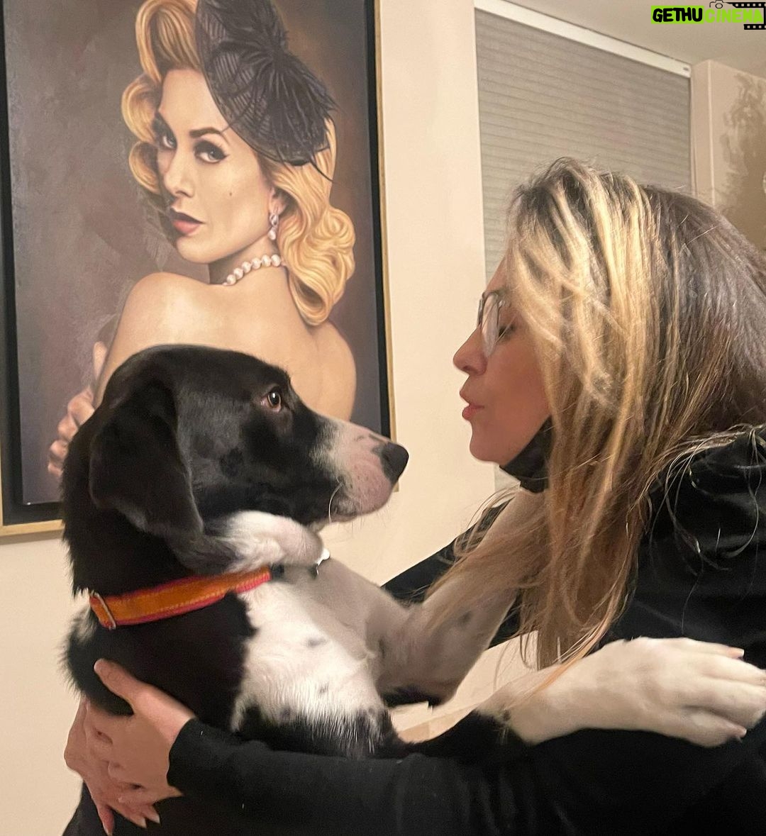 Aracely Arámbula Instagram - Aquí mi Nalita que adoptamos hace año y medio y cada día nos amamos más 🙏🐶♥️😘🎶 compartiendo con sus 7 nuevos hermanos y esperando dar en adopción 5 perrit@s que rescate durante las filmaciones de mi REBELION y una perrita en La Madrastra 🙏♥️🐶🐶🐶🐶🐶 Adopta Amor no lo compres 🙏🙏🙏🙏👍 #conciencia #Respeto #noalmaltratoanimal 🙏🐶😽🙏 que este año lo terminemos con mucha conciencia y con mayor generosidad hacia los seres humanos y hacia la vida animal 🙏✨ y que este Año Nuevo 2023 todavía traiga Mayor conciencia ,Mucho respeto y que ayudemos mucho 🙏 que reine la generosidad y no dejemos de dar la mano a quienes lo necesitan INFINTA SALUD E INFINTAS BENDICIONES ✨🙏✨♥️🐶😽✨😘🎶🐕