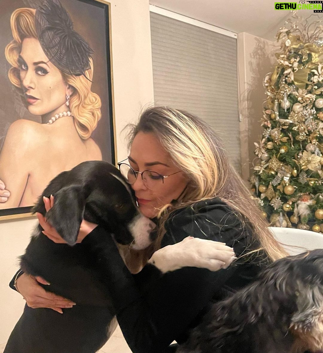 Aracely Arámbula Instagram - Aquí mi Nalita que adoptamos hace año y medio y cada día nos amamos más 🙏🐶♥️😘🎶 compartiendo con sus 7 nuevos hermanos y esperando dar en adopción 5 perrit@s que rescate durante las filmaciones de mi REBELION y una perrita en La Madrastra 🙏♥️🐶🐶🐶🐶🐶 Adopta Amor no lo compres 🙏🙏🙏🙏👍 #conciencia #Respeto #noalmaltratoanimal 🙏🐶😽🙏 que este año lo terminemos con mucha conciencia y con mayor generosidad hacia los seres humanos y hacia la vida animal 🙏✨ y que este Año Nuevo 2023 todavía traiga Mayor conciencia ,Mucho respeto y que ayudemos mucho 🙏 que reine la generosidad y no dejemos de dar la mano a quienes lo necesitan INFINTA SALUD E INFINTAS BENDICIONES ✨🙏✨♥️🐶😽✨😘🎶🐕