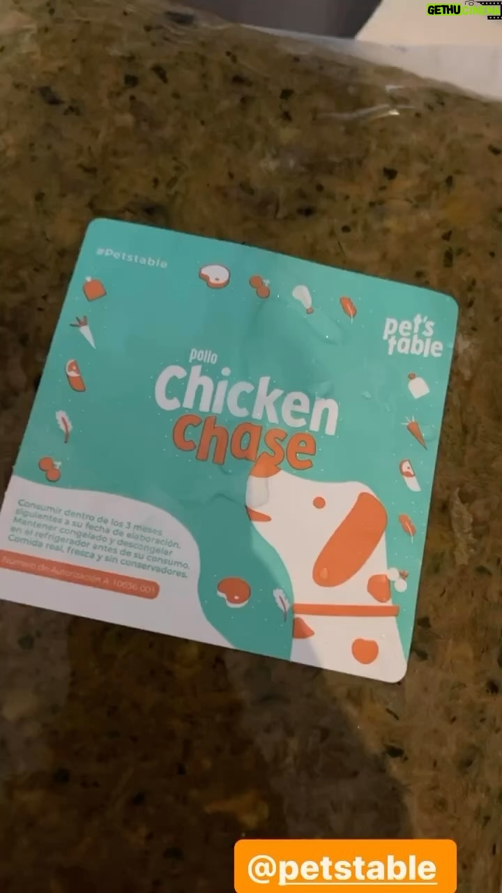 Aracely Arámbula Instagram - Compartiendo una de las comidas saludables 🐶🥰🫶@petstable de mis perritos 🐶🐶🐶🐶🐶🫶🥰🤩✨🐶✨🫶😘 👌 les encanta !