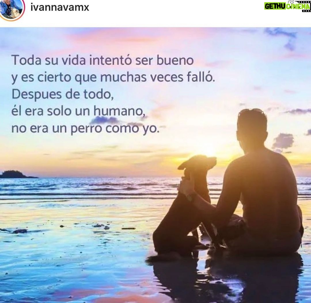 Aracely Arámbula Instagram - ♥️🐶🐕AMOR INFINITO … CUIDALOS, AMALOS PORQUE ELLOS SIEMPRE TE DARÁN SU LEALTAD Y SU CORAZÓN, ASÍ ESTES ENOJADO SIEMPRE TE DAN LO MEJOR SIEMPRE ENTREGANDOTE TODO EL AMOR 🙏🏻♥️🐕 …… #Amorinfinito