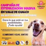 Aracely Arámbula Instagram – Únete y apadrina esterilizaciones para ayudar a estos seres de Amor y darles una mejor vida que no haya tanto perrito abandonado y tanto perrito en la calle esterilizar es un acto de AMOR ✨🫶✨🙏✨🐶♥️🫶💕 el costo 250 pesos nos unimos ? ✨🙏✨ informes con @primeroperro_mexico