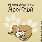Aracely Arámbula Instagram – ✨🐶🫶♥️✨ADOPTA NO COMPRES ✨🙏✨🐶🫶♥️
