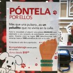 Aracely Arámbula Instagram – Mi #Arafamilia bella ayudemos a muchos  animalitos que viven en la calle y podemos hacerlo de la mano de  esta campaña de esterilización comprando estas pulseras que nos cuestan solo 10 pesos y el dinero se va íntegro para ayudar a esterilizar a muchos peritos y gatitos que terminan en la calle 🤦‍♀️😞 tú cómo yo que amamos a los animalitos unete para salvarlos vivir en la calle 🙏🏻 te sumas con nosotos ayudar ? Estas pulseras las encuentras en  @mumuso_mx Gracias  la fundación @amorsinraza 🙏🏻👍🏻@brigadasinraza 🐶🐱 🙏🏻 #amorsinraza #brigadasinraza #pontelaporellos  @edgarfernandoerv 🙏🏻😘