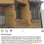 Aracely Arámbula Instagram - Ayuda urgente Porfavor en #Oaxaca aquí viene el teléfono de la persona encargada de reportar este caso Porfavor rescatistas de Oaxaca y a mi queridísima #Arafamilia de allá Porfavor ayúdenos ayudar a este perito 🙏🏻🙏🏻🙏🏻🐶❤️ @refugiodeperrostia @fundacionmilagrosnochix PORFAVOR AYUDA para esta criatura 🙏🏻🐶❤️ @lahuelladeclauditoac Porfavor quien ayude envíe foto que el perrito está bien 🙏🏻